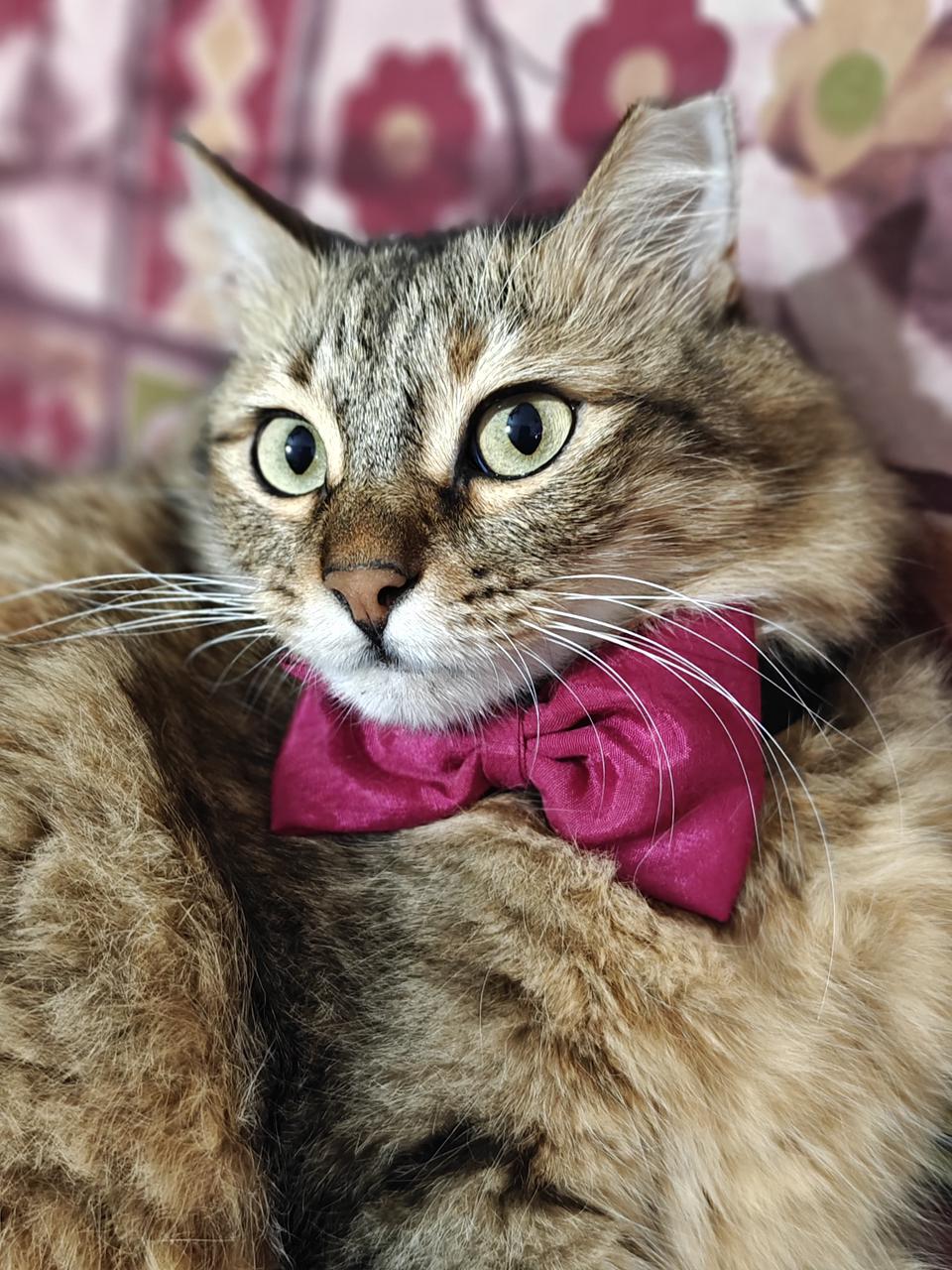 WhatsApp Image 2025-11-17 at 12.38.18 PM.jpeg